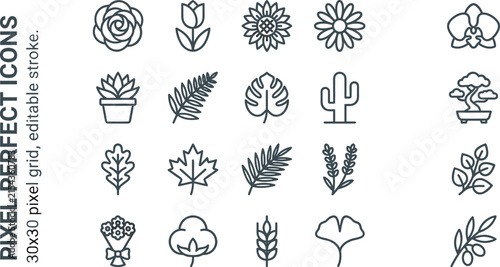 Minimal botanical line icon set featuring pixel perfect plant floral symbols for organic cosmetics website graphic design vector