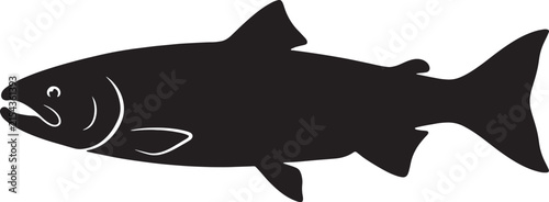 Obraz na płótnie Black salmon fish vector illustration with line art details isolated for commercial design