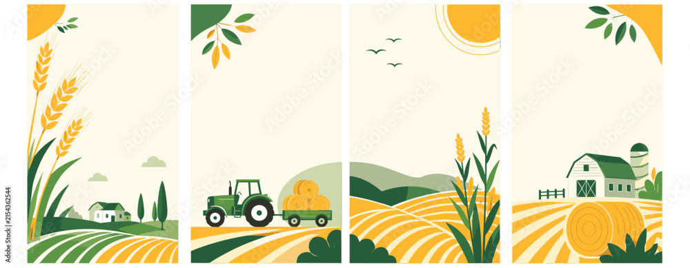 Fototapeta premium Agriculture cover design with farming field landscape, wheat crop, tractor, harvest meadow, hayfield banner background for flyer poster vector illustration