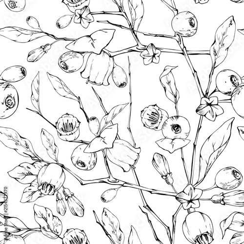 Woodland bilberry, huckleberry berry plants, blueberry flowering branches, leaves, fruit. Seamless full-growth botanical pattern. Isolated illustration hand drawn in vector ink. Biodiversity studies