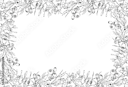 Flowering branches of bilberries, huckleberries. Blueberries, whortleberries mature berries and foliage. Border frame hand drawn in vector ink. Foraging courses, bushcraft schools, outdoor education