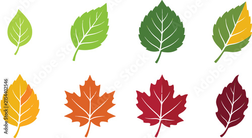 Colorful Autumn Leaves Icon Set with Green Yellow Orange and Red Fall Foliage