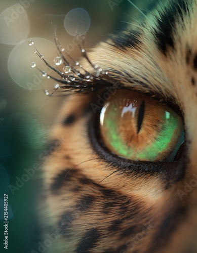 Close Up einer Serval Katze