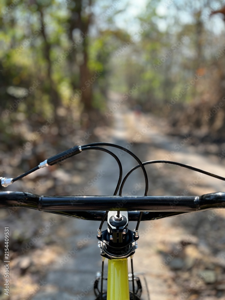 Fototapeta premium BMX downhill bicycle handlebar viewed from a rider's perspective on a rugged tropical teak forest trail during a sunny outdoor adventure.
