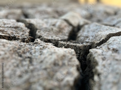 Фотография Large angular fragments of dried ground separate along deep channels, revealing the dramatic effects of prolonged moisture loss on an exposed outdoor surface