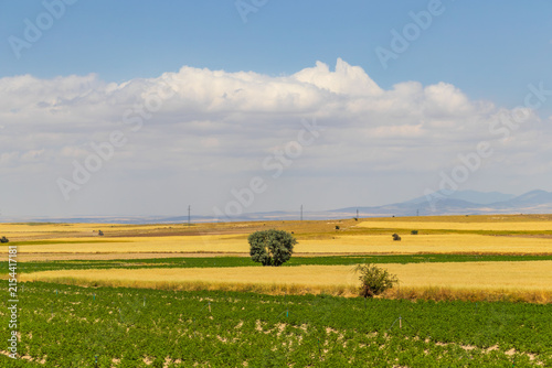 Bild auf Leinwand Agricultural fields under blue sky in Cappadocia