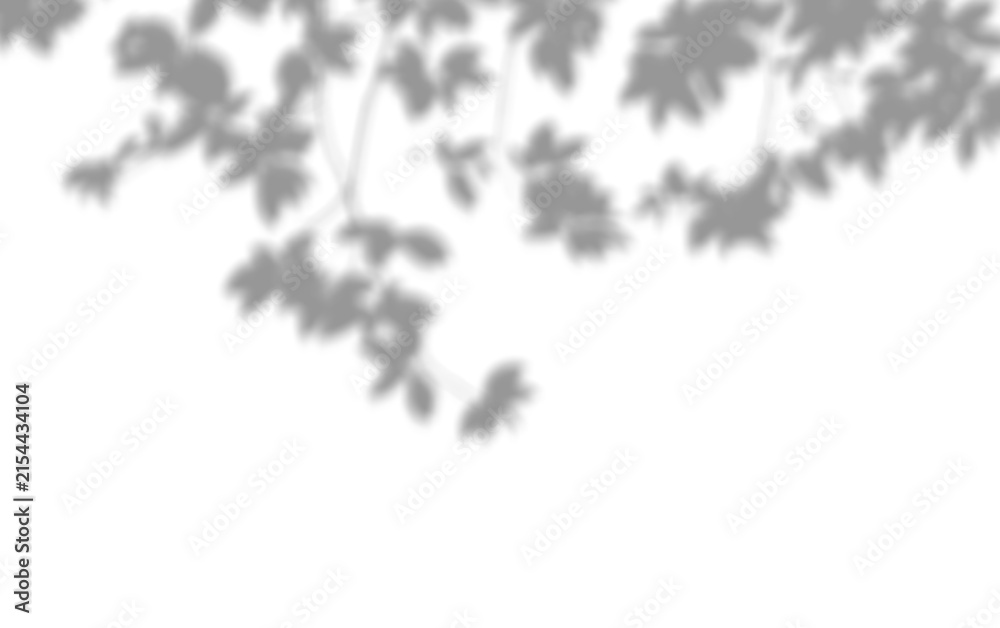 Fototapeta premium Natural plant leaves shadow overlay effect mockup design element