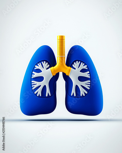 Lung anatomy respiratory organ medical blue trachea bronchus 3d rendering Lung anatomy