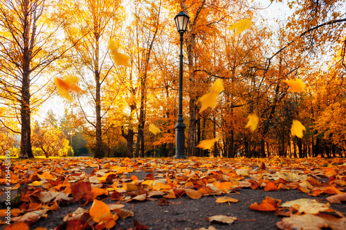 Autumn city landscape - autumn trees in sunny October park, metal lantern on the background of park trees with orange leaves and swirling leaves slowly falling to the ground