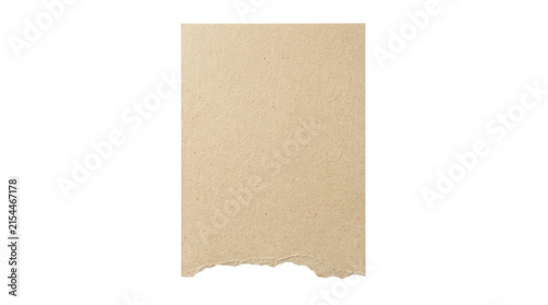 Torn piece of beige paper with rough edges on a white background.