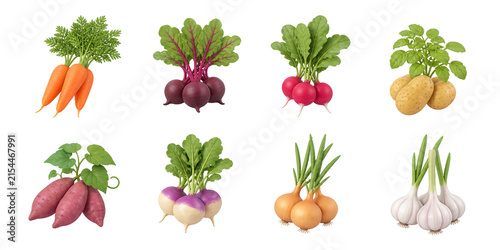 Vegetable icons, root vegetables, carrots, beets, radishes, potatoes, sweet potatoes, onions, and garlic 3D set.