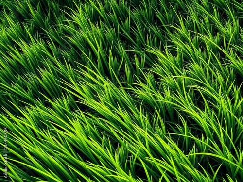 Wavy lines of lush green grass intersecting at sharp angles, natural, grass