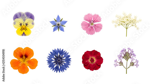Colorful edible flowers assortment for culinary decoration.