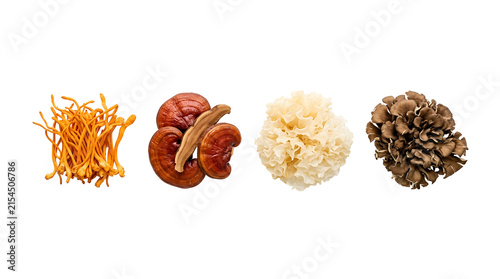 Konstfotografi Healthy medicinal herbal mushroom varieties for immune health.