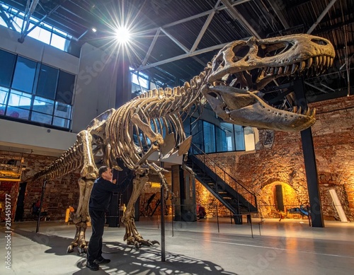 Huge Tyrannosaurus Rex skeleton displayed in modern museum hall.
