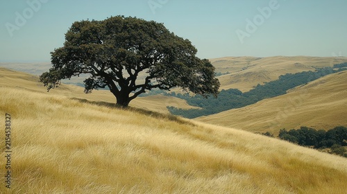 A lone tree stands on a grassy hillside
