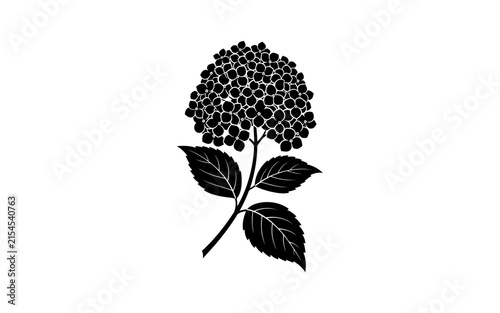 Konstfotografi Hydrangea flower silhouette on a white background botanical illustration