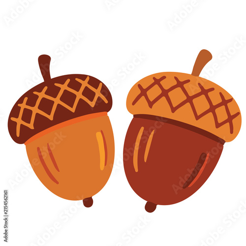 Foto Set of two brown autumn acorns oak nuts fall vector illustration