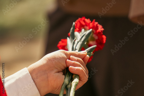 фотографія A close-up shot shows a child's hand holding a small bouquet of vibrant red carnations outdoors in warm sunlight
