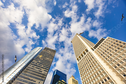 Low angle view looking up at modern skyscrapers with flying seagulls against bright blue sky with white clouds in business district