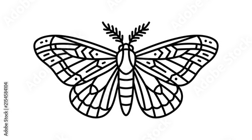 A detailed black and white line art illustration of a moth with intricate wing patterns and antennae, depicted symmetrically.