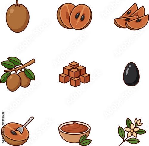 Set of Sapodilla Fruit Icons with Various Forms and Parts.