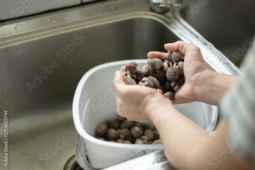 Hands washing fresh clams in a sink, preparing seafood for cooking.