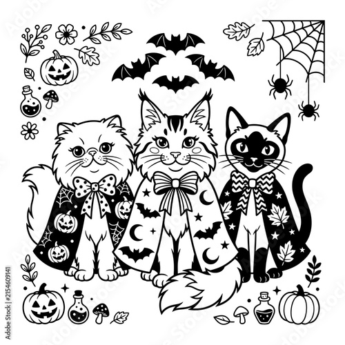 Cute cats wearing halloween capes with bats pumpkins and spider webs
