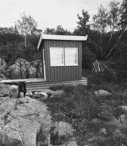 Small Wooden Cabin on Rocky Ground Surrounded by Trees in Grainy Monochrome Style