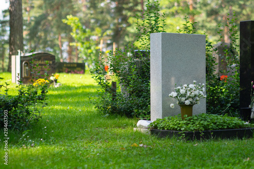 Cemetery pathway with gravestones and flowering shrubs