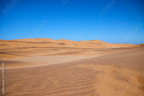 Canvastavla Sanfte Sanddünen mit windgeformten Oberflächen erstrecken sich unter tiefblauem Himmel in der Namib bei Swakopmund