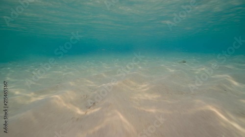 Underwater view of a sandy ocean floor