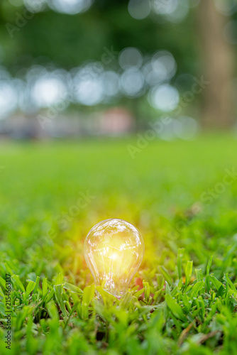 Light bulbs that grow, in the concept of energy in nature.