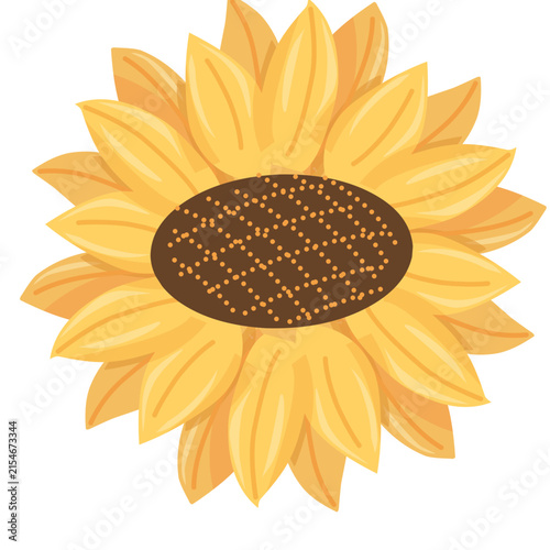 Sun flower flat illustration