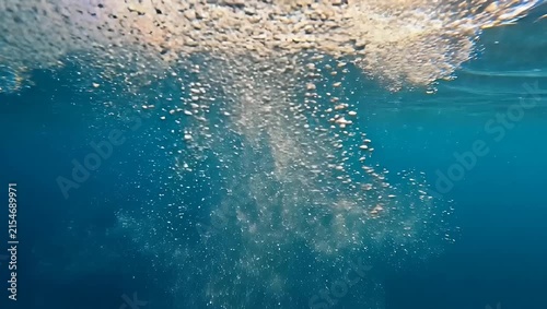 Translucent white jellyfish floating in deep blue ocean