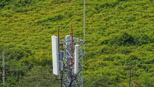 A telecommunications tower rises above dense green plants in the countryside