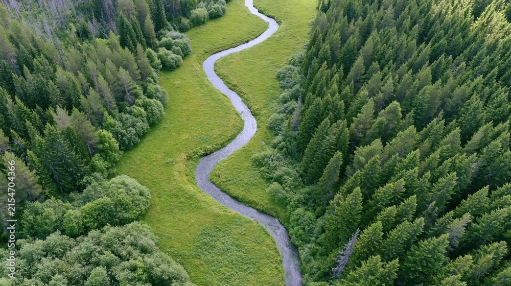 Obraz premium The Meandering River Winding Through Lush Forests and Open Meadow from Aerial Perspective