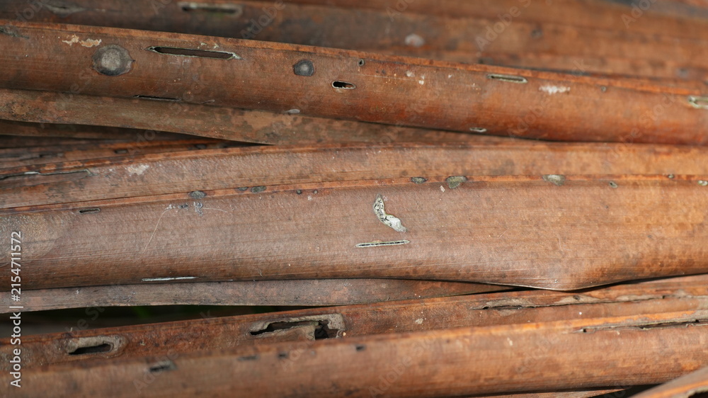 Obraz premium Close-up of Stacked Dry Brown Coconut Palm Leaf Stalks with Weathered Texture and Organic Details