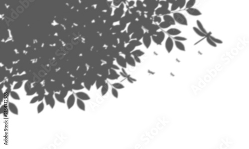 Shadow of tree leaves with dragonflies isolated on white background