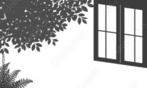 Shadow of tree leaves and window frame on a white wall isolated on transparent background