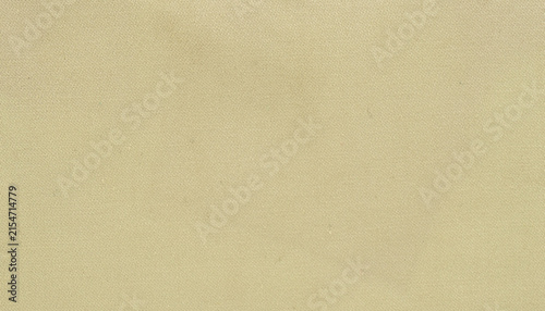 Soft Pale Green Blurry Abstract Background with Subtle Gradient