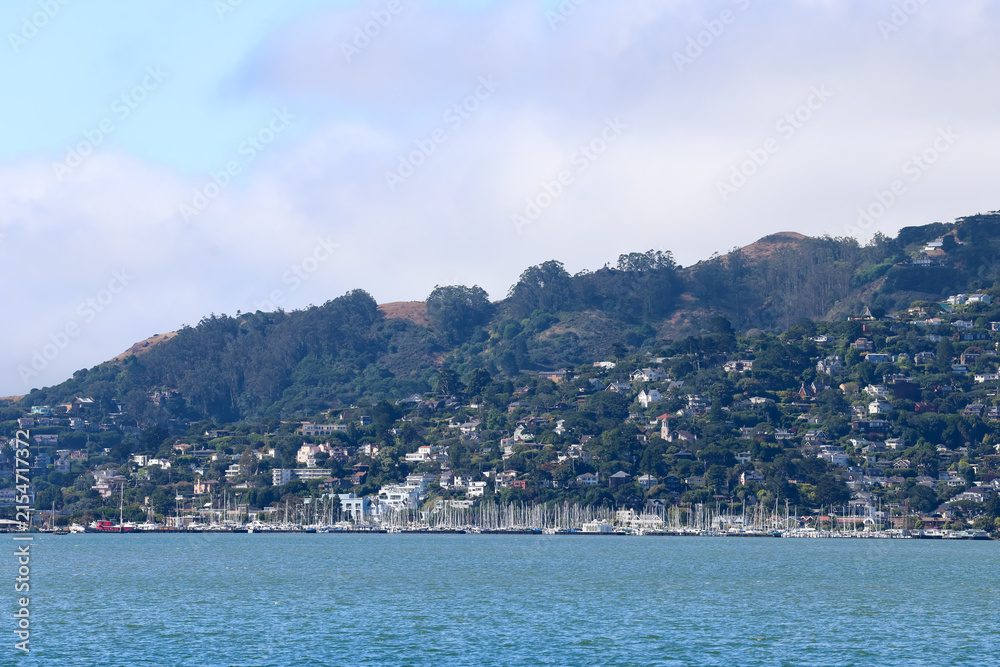 Fototapeta premium A scenic view of the residential hillside community of Sausalito with its marina on the water.