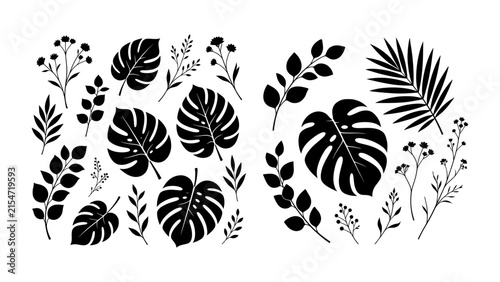 Tropical Leaf Silhouette Vector Set with Monstera and Palm Foliage