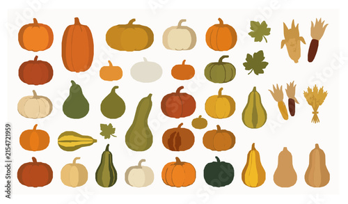 Autumn Harvest Pumpkins and Decorative Gourds Festive Flat Vector Collection