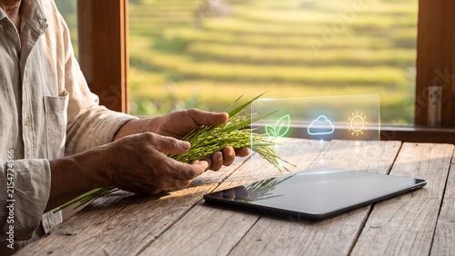 Farmer holding green rice seedlings beside a tablet projecting holographic leaf, cloud, and sun environmental monitoring icons, representing smart agriculture, precision farming, and sustainable