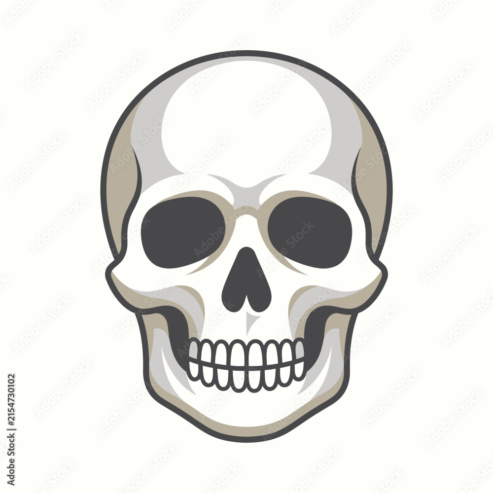Fototapeta premium Anatomical human skull vector illustration. Minimalist cranium head icon. Stylized bone skeletal face for medical or gothic design. isolated on White Background Halloween Editable SVG