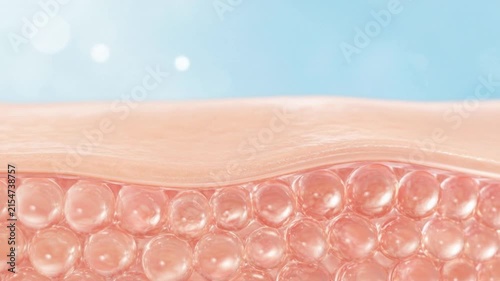 Close up view of healthy skin layers showing soft tissue and fat cells under blue light background
