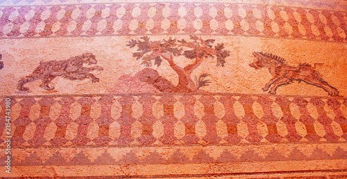 Canvas Print House of Dionysus, archaeological site of Nea Paphos, Cyprus