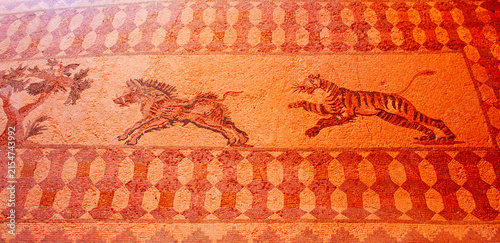 Canvas Print House of Dionysus, archaeological site of Nea Paphos, Cyprus