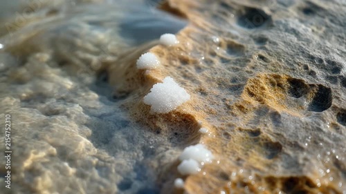 White salt crystals form on a textured rock surface at the edge of the Dead Sea.